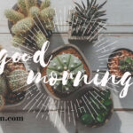 Saturday Good Morning Messages